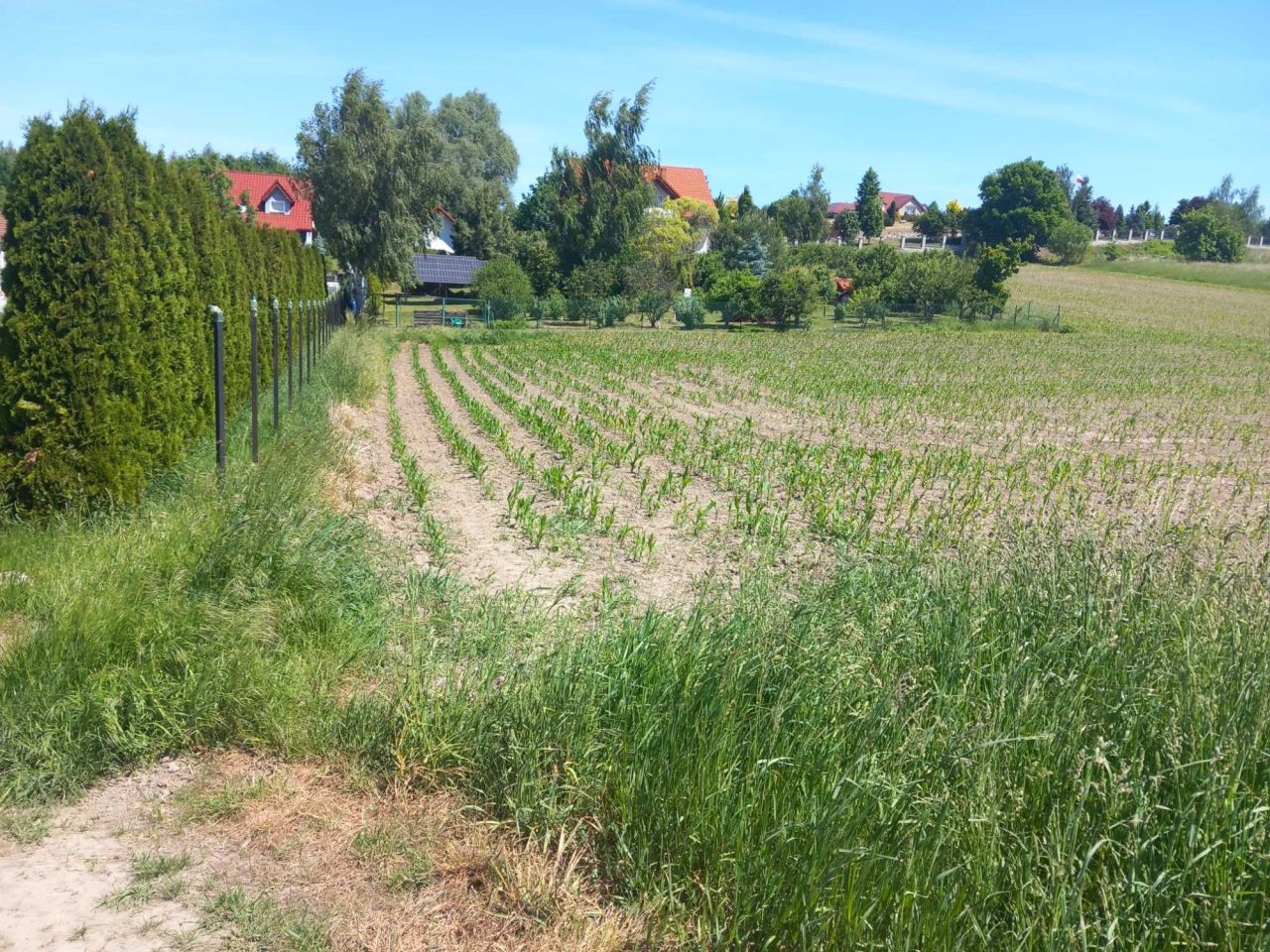 Działka budowlana Panków. Zdjęcie 1