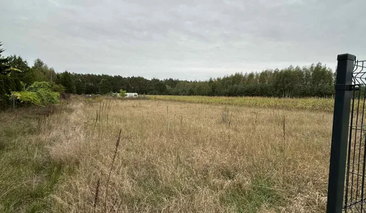 Działka budowlana Zofibór