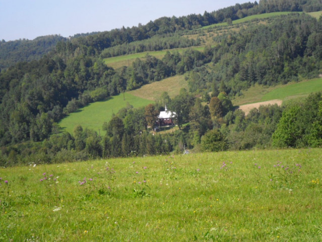 Działka siedliskowa Górzanka. Zdjęcie 6