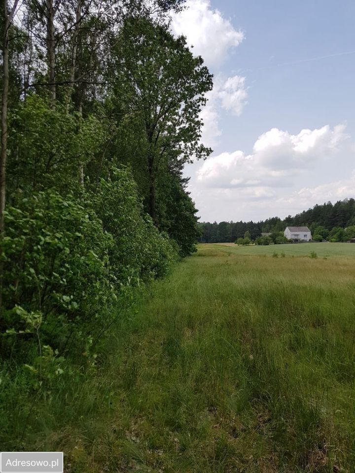Działka budowlana Kontrewers. Zdjęcie 16