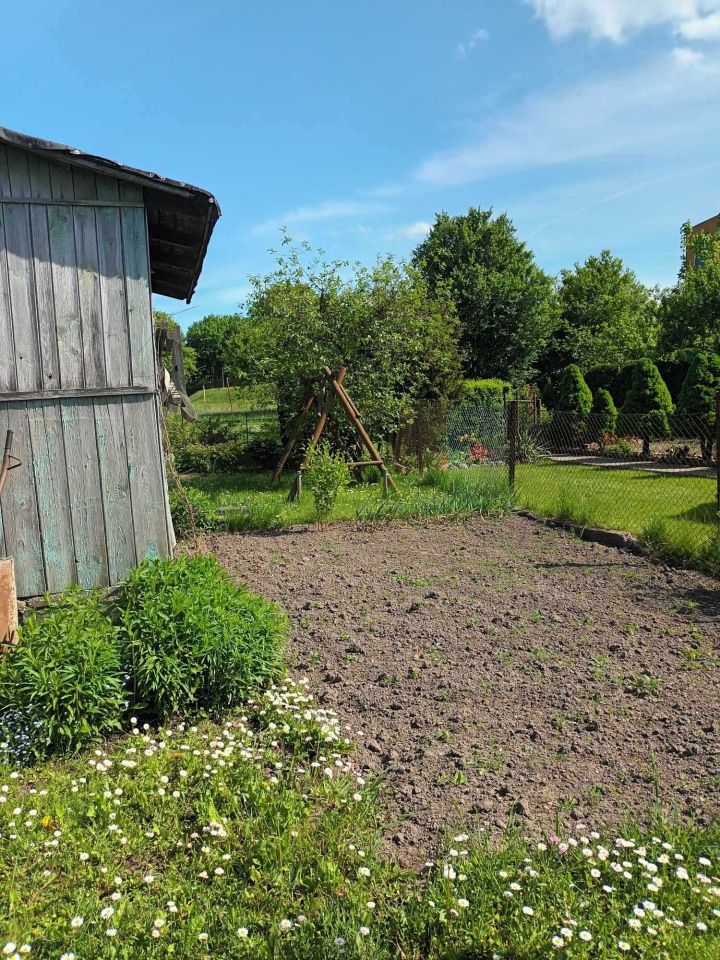 Działka rod Szczytno, ul. Jana Kochanowskiego. Zdjęcie 6