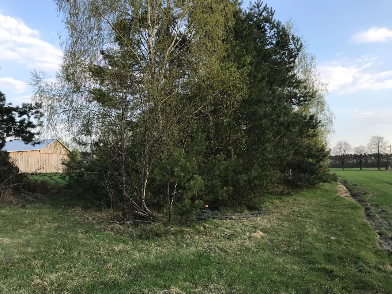 Działka rolno-budowlana Surmacze. Zdjęcie 26