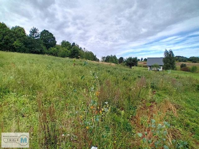 Działka budowlana Wola Morawicka. Zdjęcie 11
