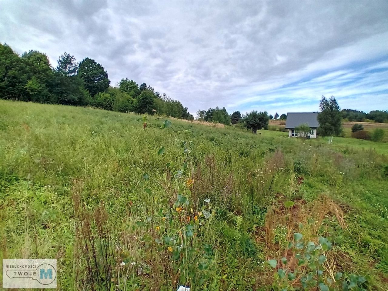 Działka budowlana Wola Morawicka. Zdjęcie 11