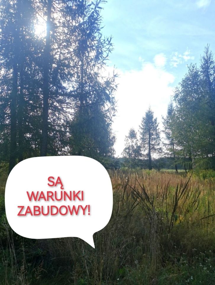 Działka budowlana Modzele-Bartłomieje. Zdjęcie 6