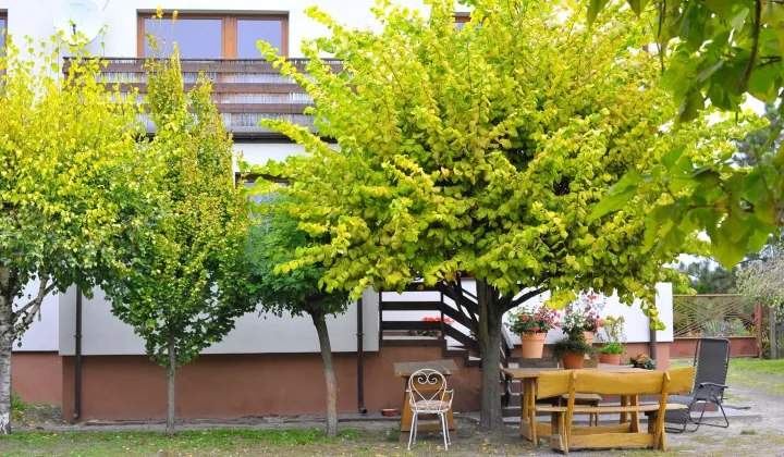 gospodarstwo Krzewata