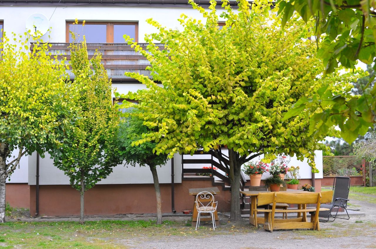 gospodarstwo Krzewata. Zdjęcie 1