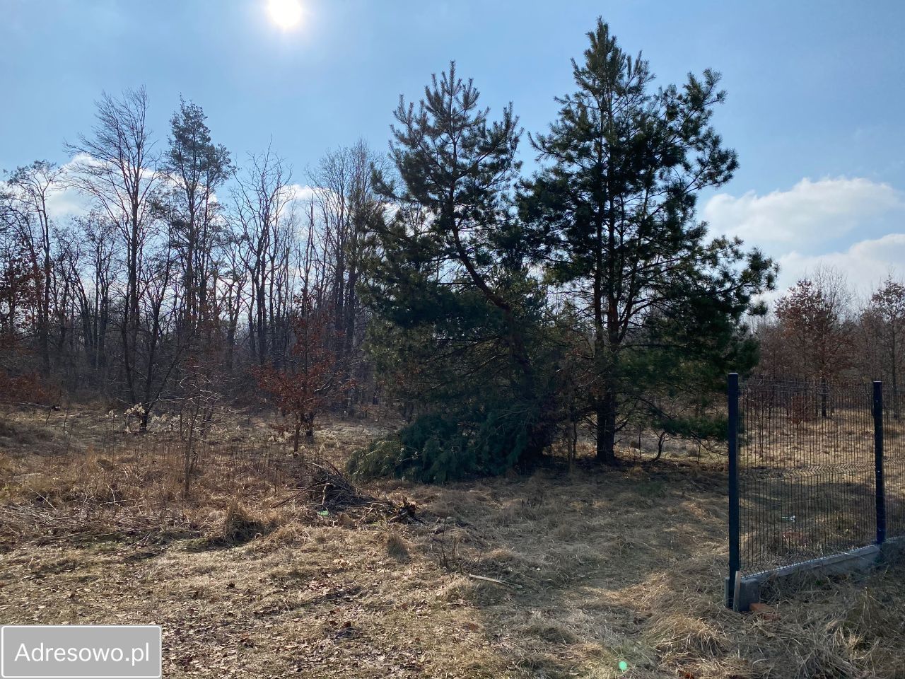 Działka budowlana Łódź Polesie, ul. Laskowicka