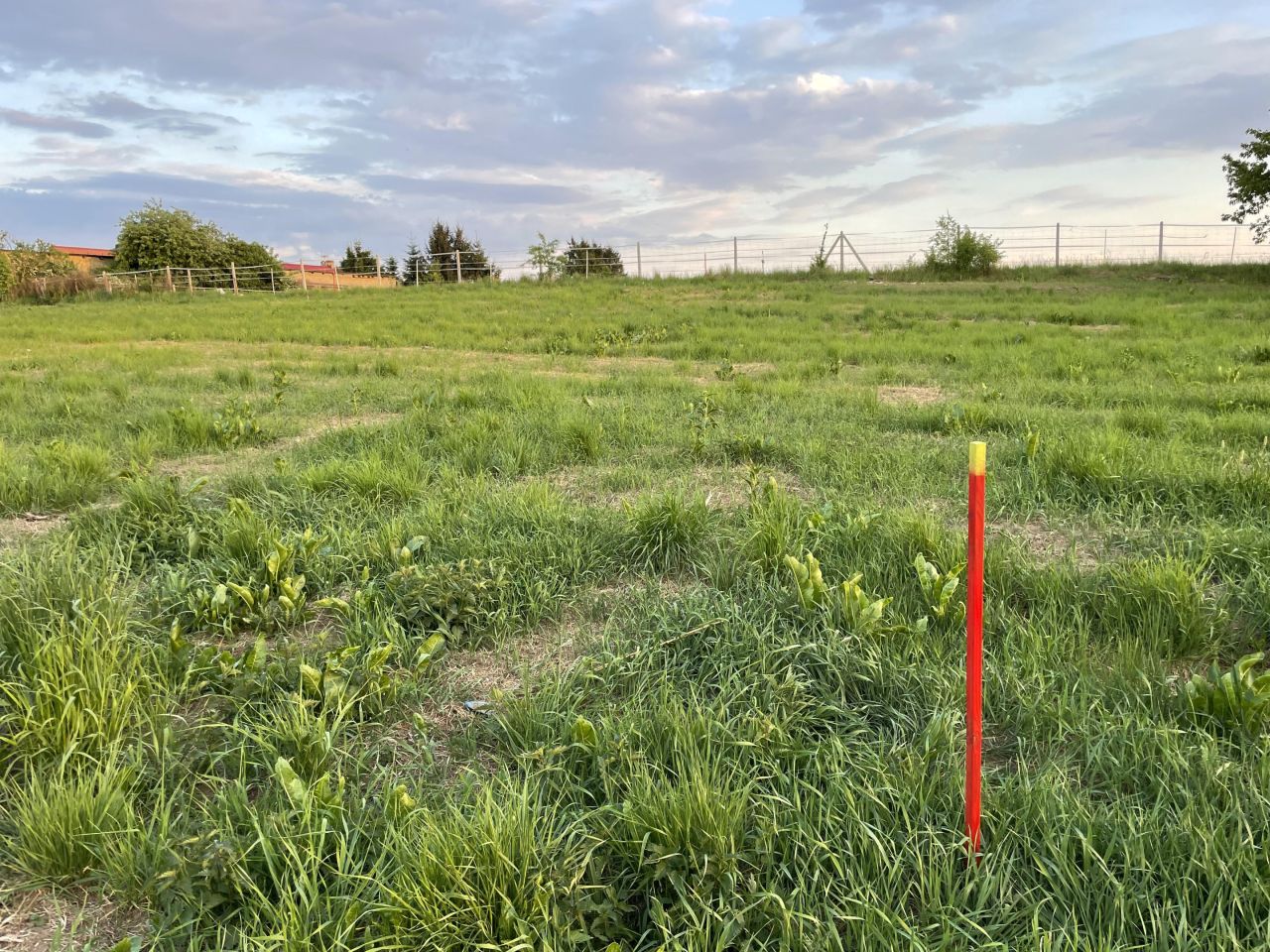 Działka budowlana Bytyń, ul. Szkolna. Zdjęcie 4