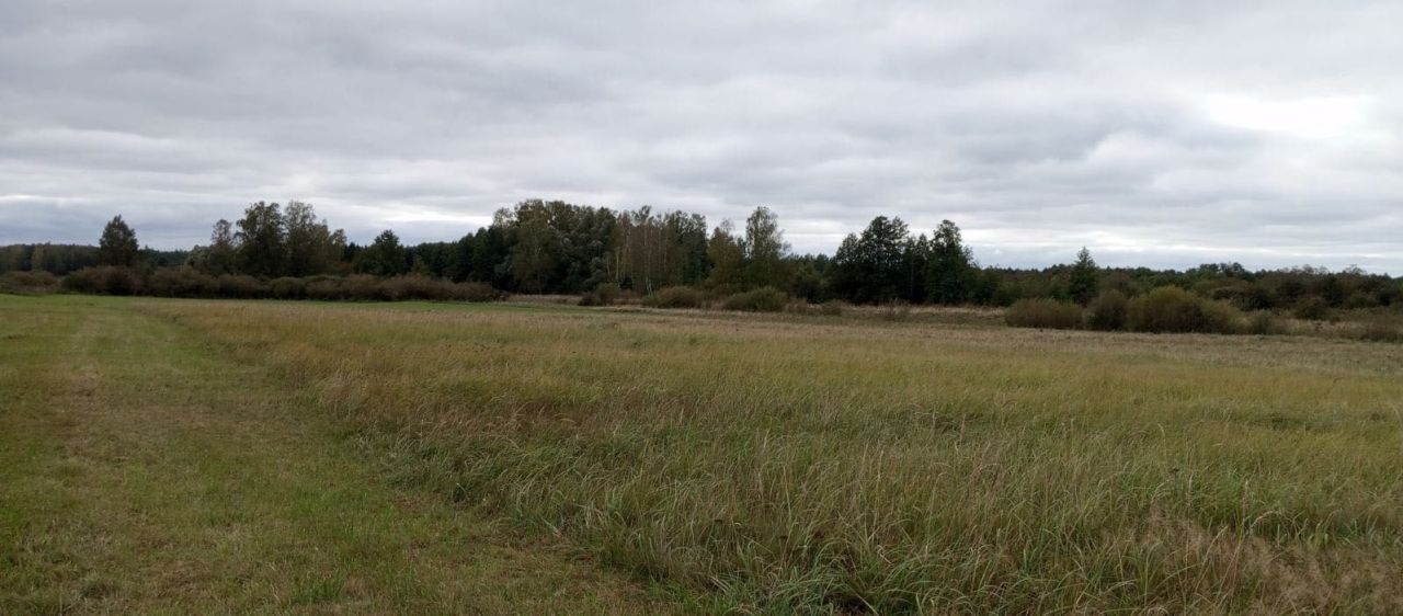 Działka rolna Bajory Wielkie. Zdjęcie 5