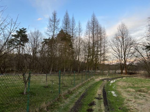 Działka budowlana Rudy Paproć, ul. Raciborska. Zdjęcie 1