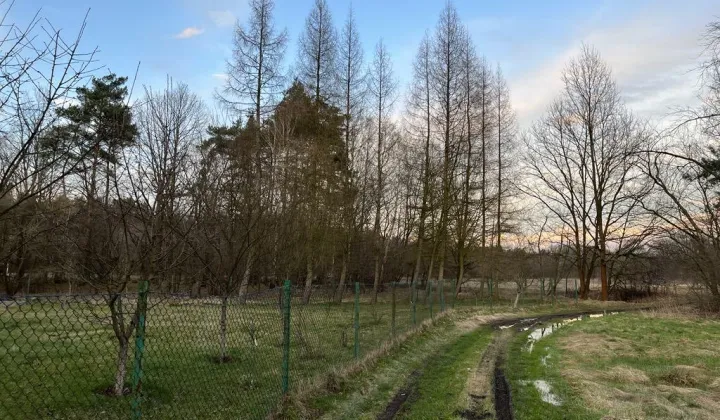 Działka budowlana Rudy Paproć, ul. Raciborska