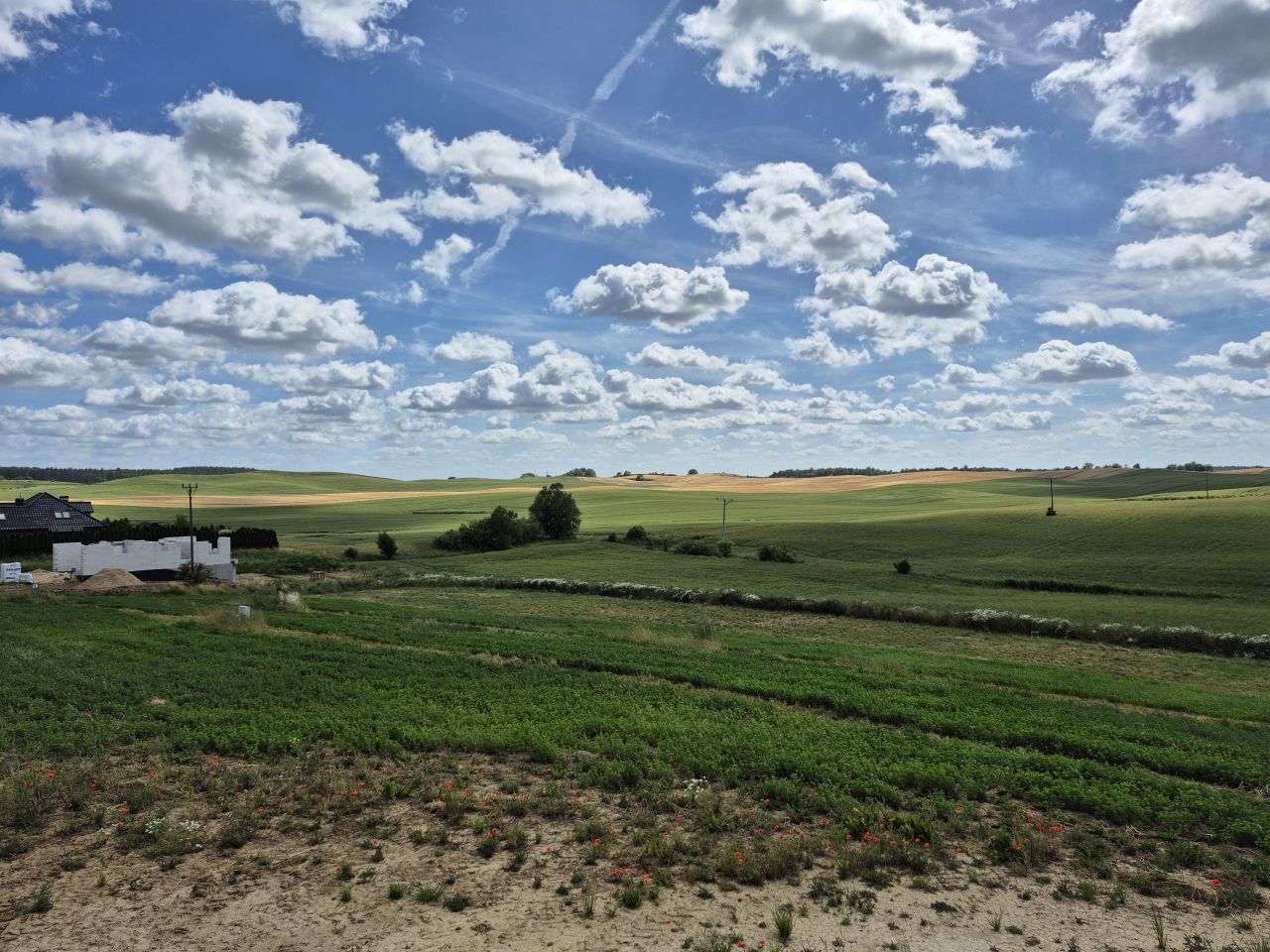 Działka budowlana Stanisławie. Zdjęcie 7
