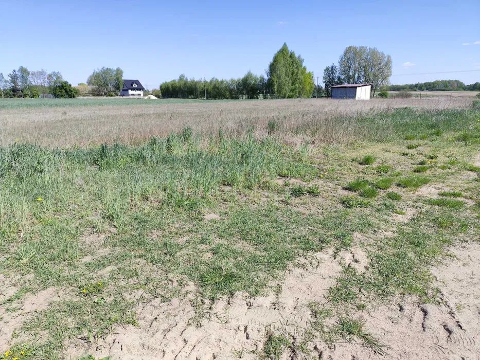 Działka budowlana Cegielnia. Zdjęcie 4