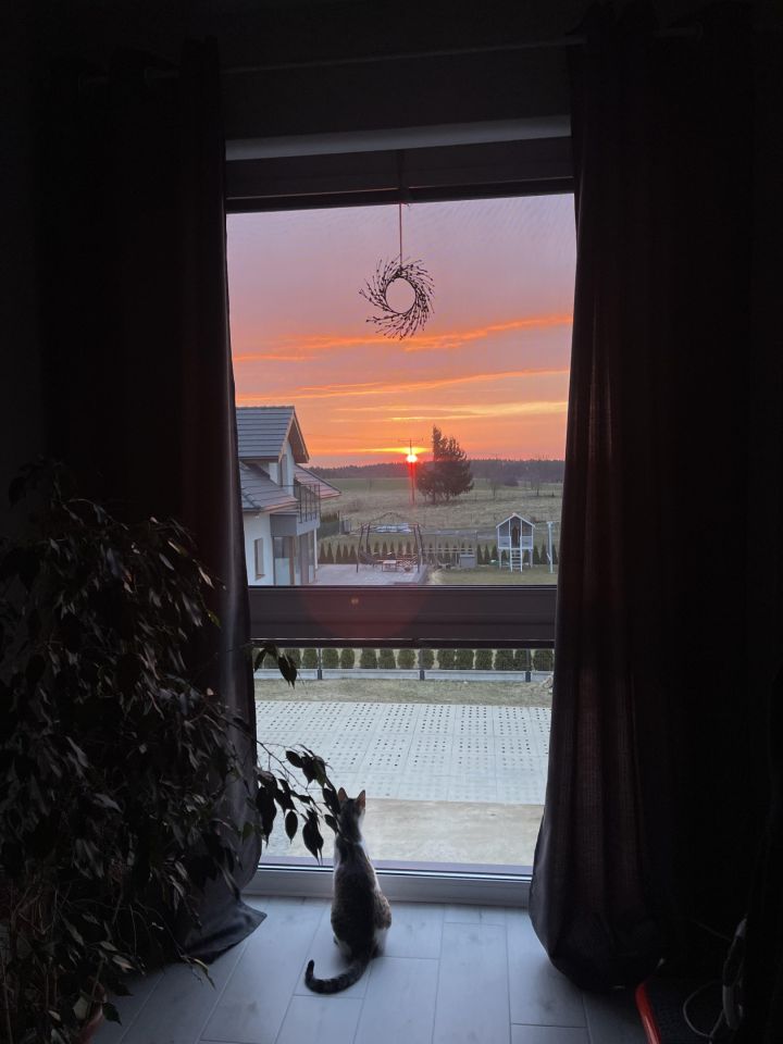 Mieszkanie 4-pokojowe Dębogórze, ul. Owsiana. Zdjęcie 13