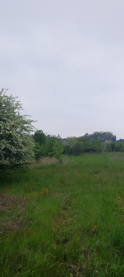 Działka rolno-budowlana Podłęże. Zdjęcie 2