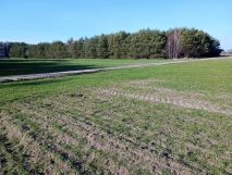 Działka rolno-budowlana Rzeczyca. Zdjęcie 1