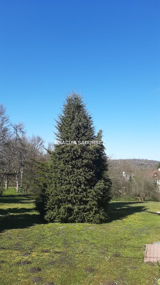 bliźniak, 9 pokoi Kraków Dębniki, ul. Tyniecka. Zdjęcie 14