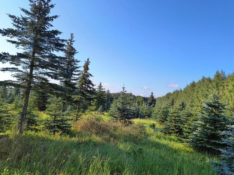 Działka budowlana Kamionki. Zdjęcie 2