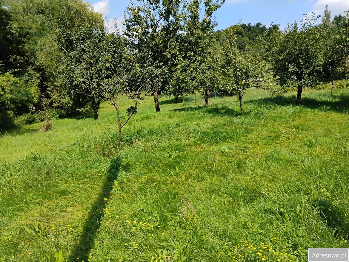 Działka budowlana Góra Świętej Anny. Zdjęcie 8