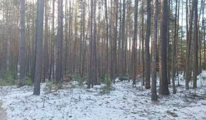 Działka budowlana Krasnobród