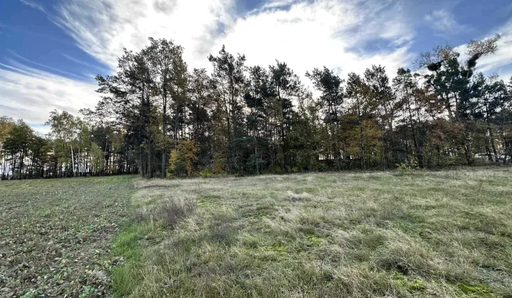 Działka budowlana Pałczew