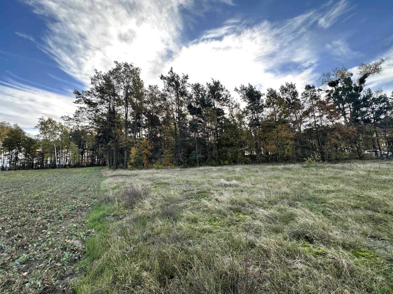 Działka budowlana Pałczew