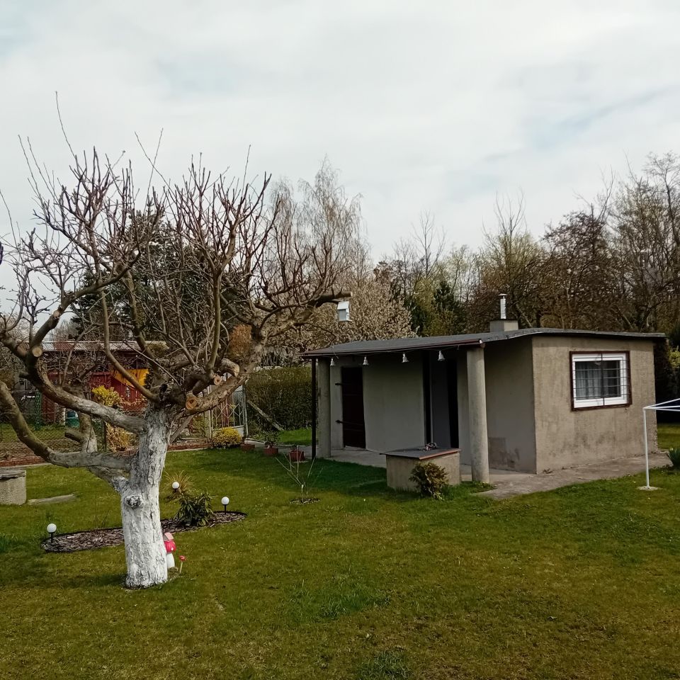 Działka rod Gliwice, ul. Rybnicka. Zdjęcie 7
