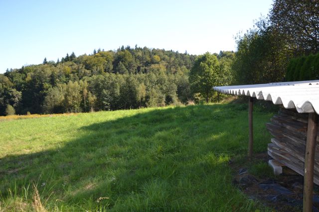 Działka siedliskowa Stanisław Dolny. Zdjęcie 6