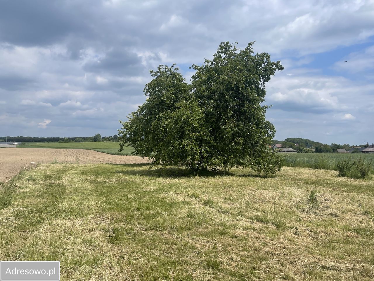 dom wolnostojący, 3 pokoje Makowiska, ul. Radomszczańska. Zdjęcie 7