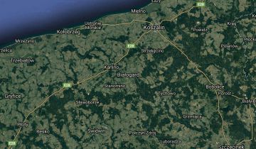 segmentowiec Białogard