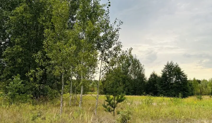 Działka inwestycyjna Baniocha Wilczynek, ul. Wspólna