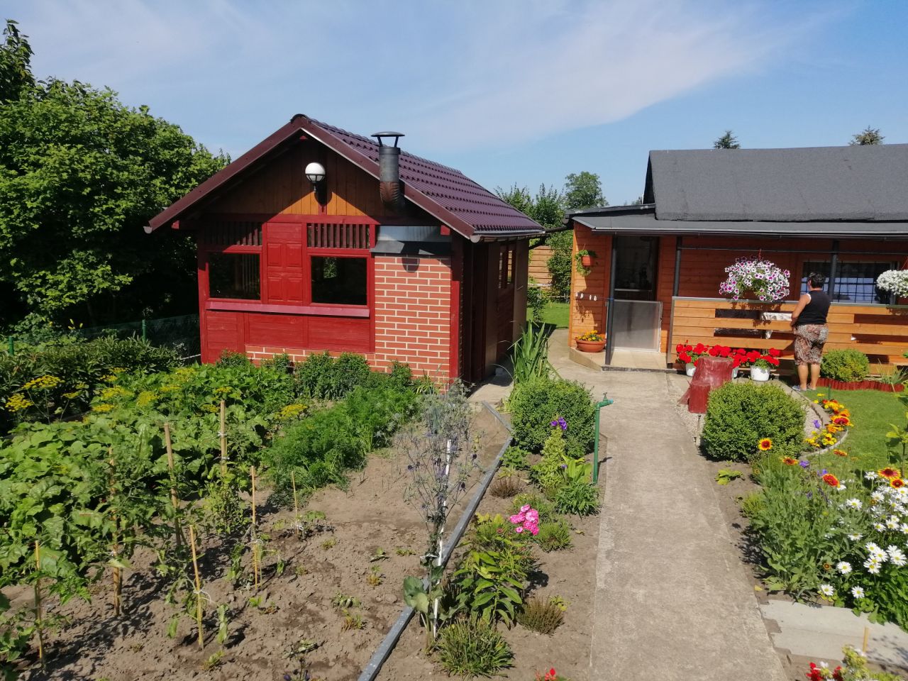 Działka rod Kołobrzeg, ul. Bolesława Krzywoustego. Zdjęcie 52