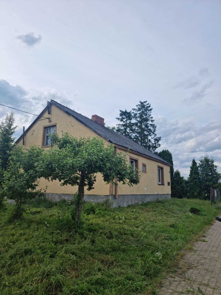 gospodarstwo Lubań. Zdjęcie 7