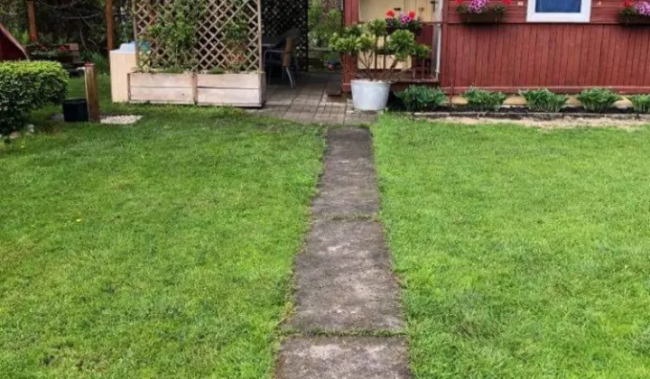 Działka rod Ząbki, ul. Wolności