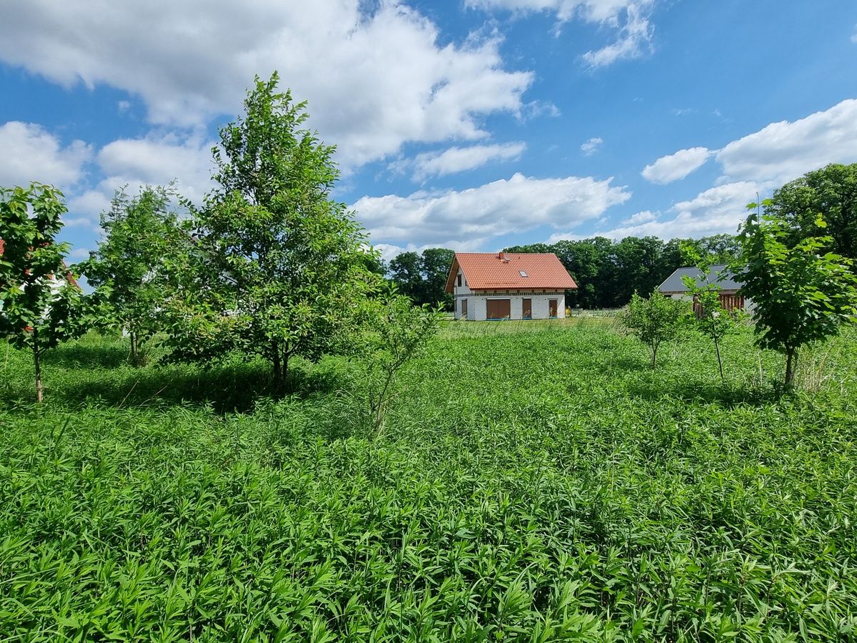 Działka budowlana Wilkowa. Zdjęcie 7