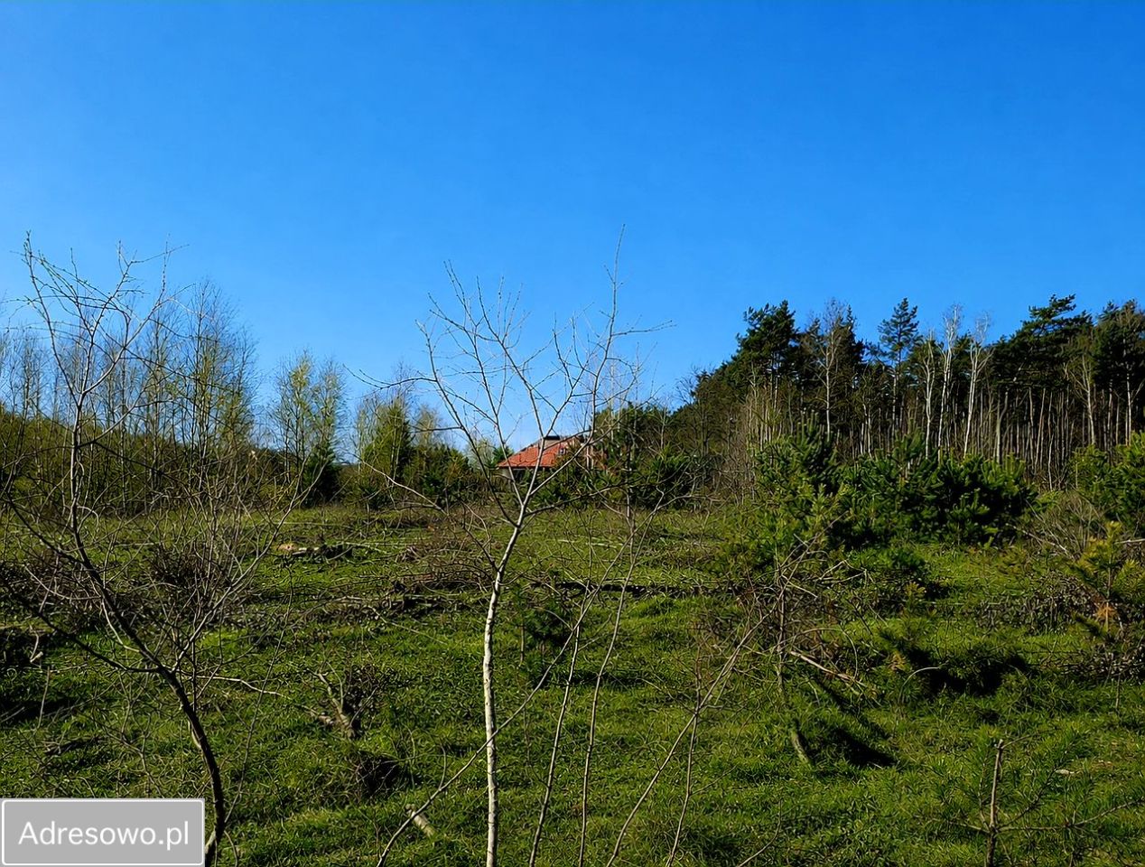 Działka budowlana Łobódź. Zdjęcie 7