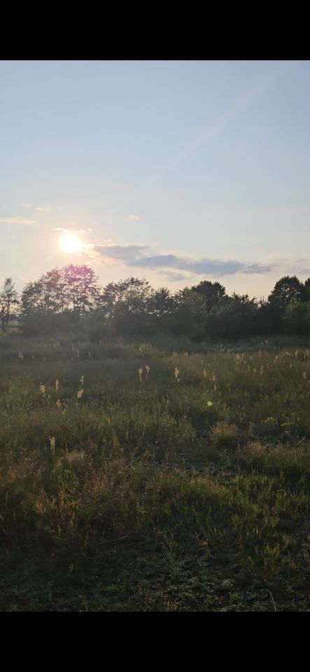 Działka budowlana Probostwo Dolne. Zdjęcie 7