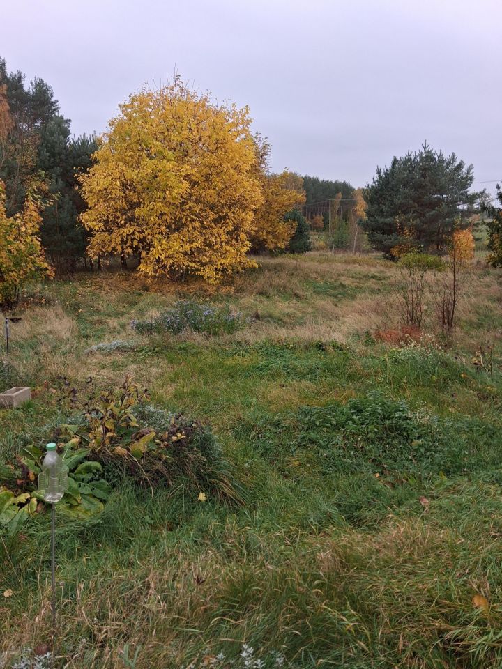 dom wolnostojący, 3 pokoje Drzonowo. Zdjęcie 10