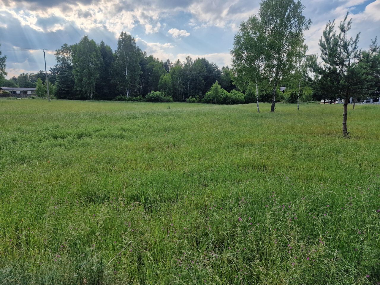 Działka budowlana Rudnik Wielki, ul. Parkowa. Zdjęcie 14