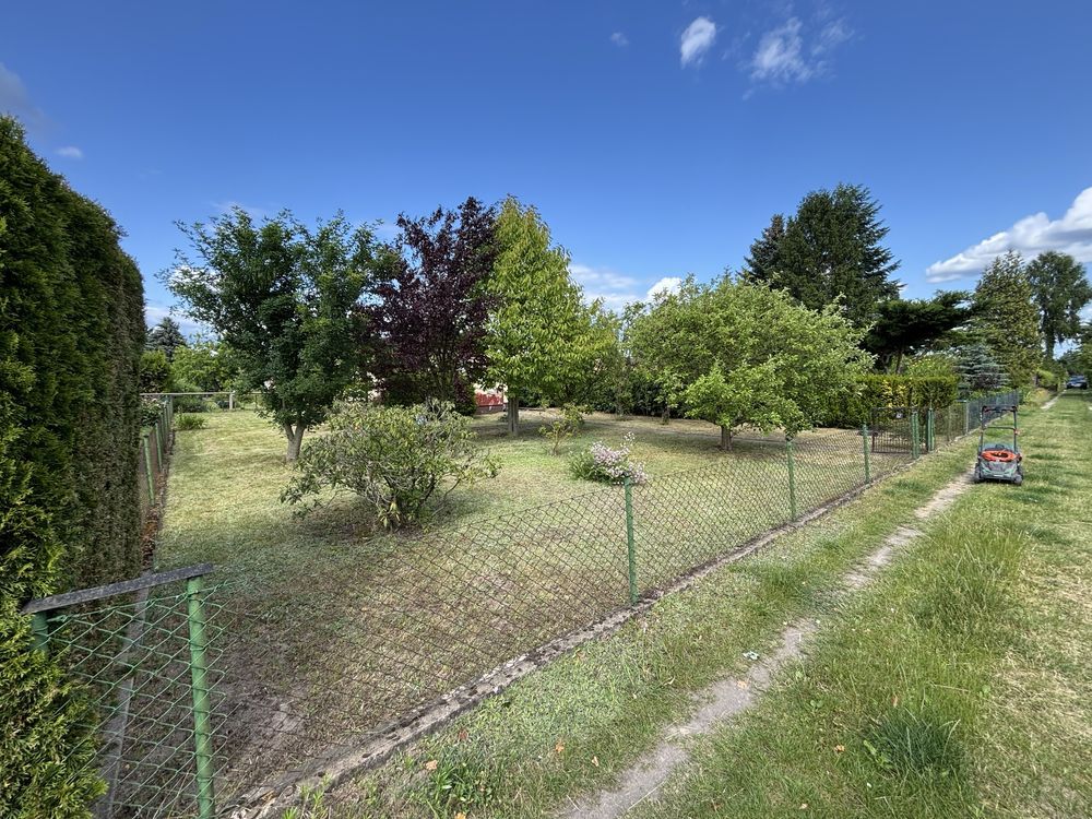 Działka rod Koninko. Zdjęcie 5