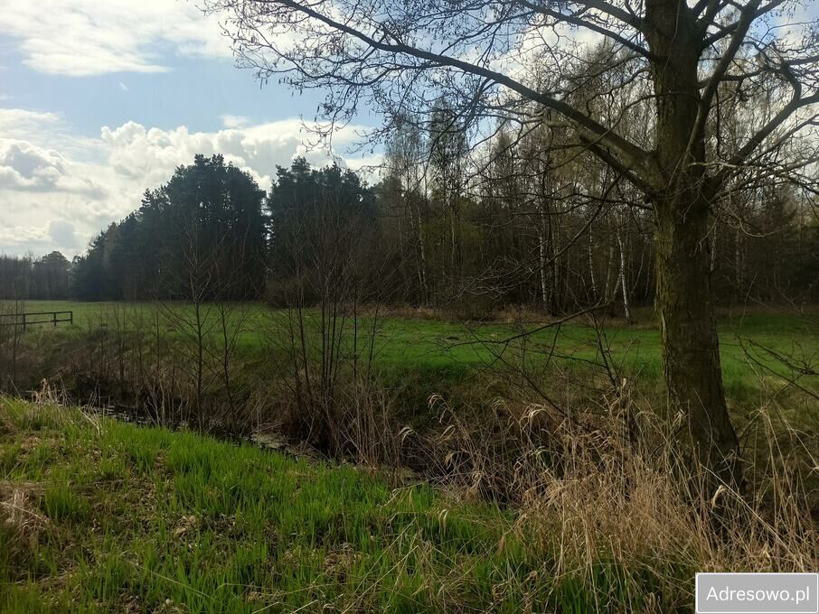 Działka leśna Hipolitów. Zdjęcie 5
