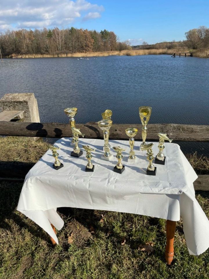 Działka rekreacyjna Iwaniska. Zdjęcie 2