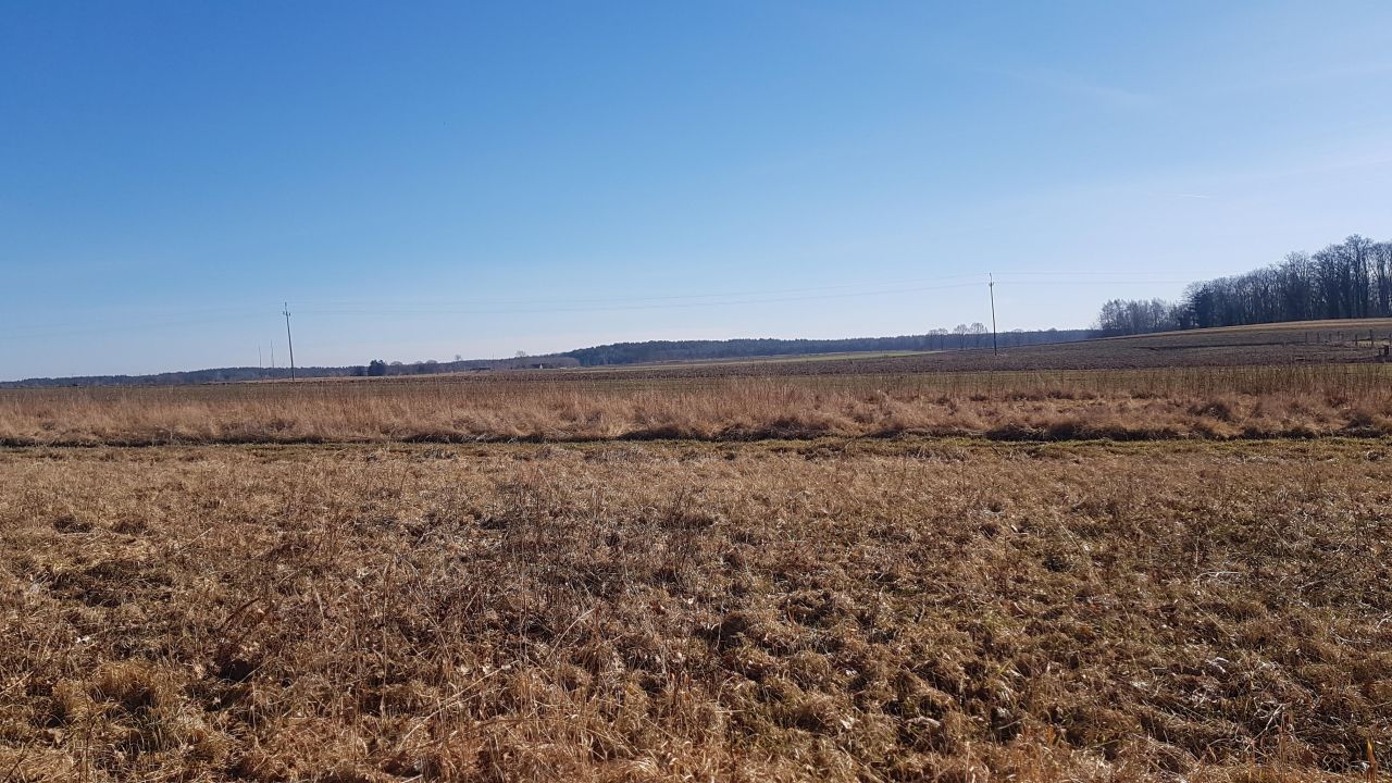 Działka rolna Dargikowo. Zdjęcie 8