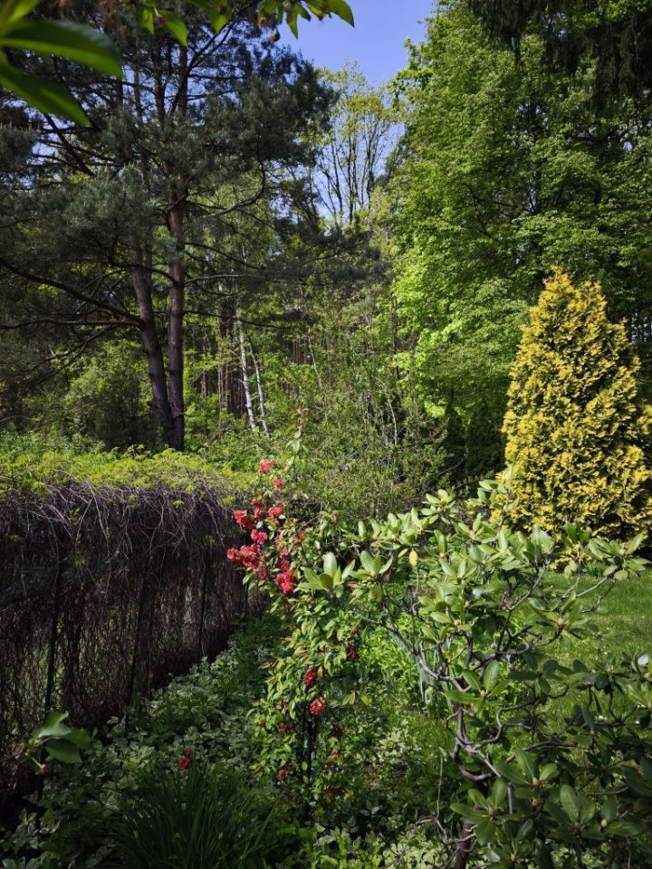 Działka rod Warszawa Białołęka Dworska, ul. Cieślewskich. Zdjęcie 6