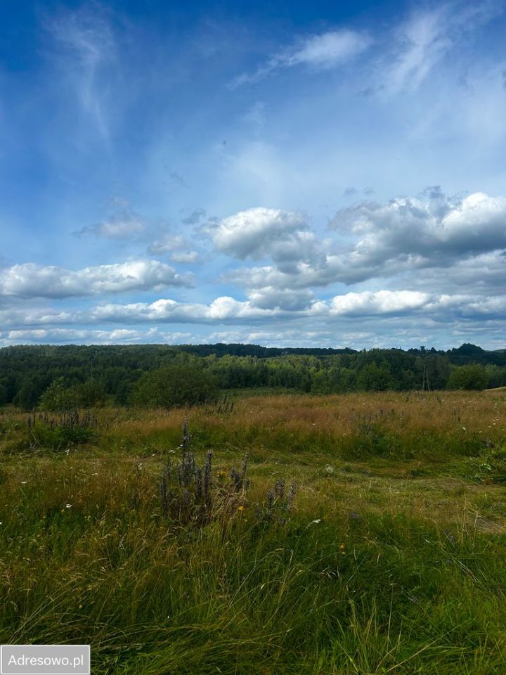 Działka budowlana Trzepowo, ul. Racibora. Zdjęcie 9