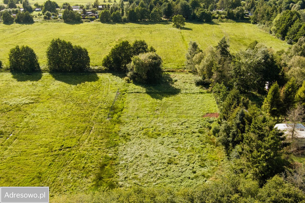 Działka rolna Karwieńskie Błoto Drugie. Zdjęcie 5