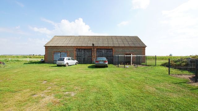 gospodarstwo Zbójno. Zdjęcie 19