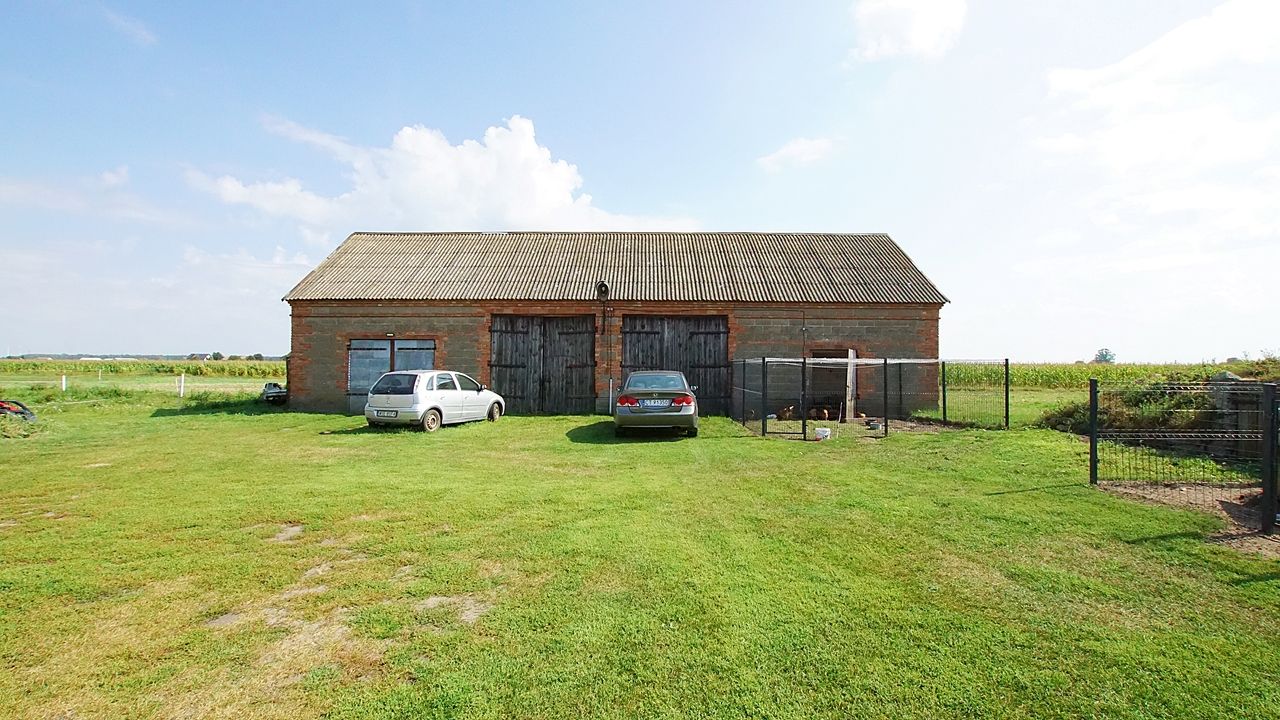 gospodarstwo Zbójno. Zdjęcie 19