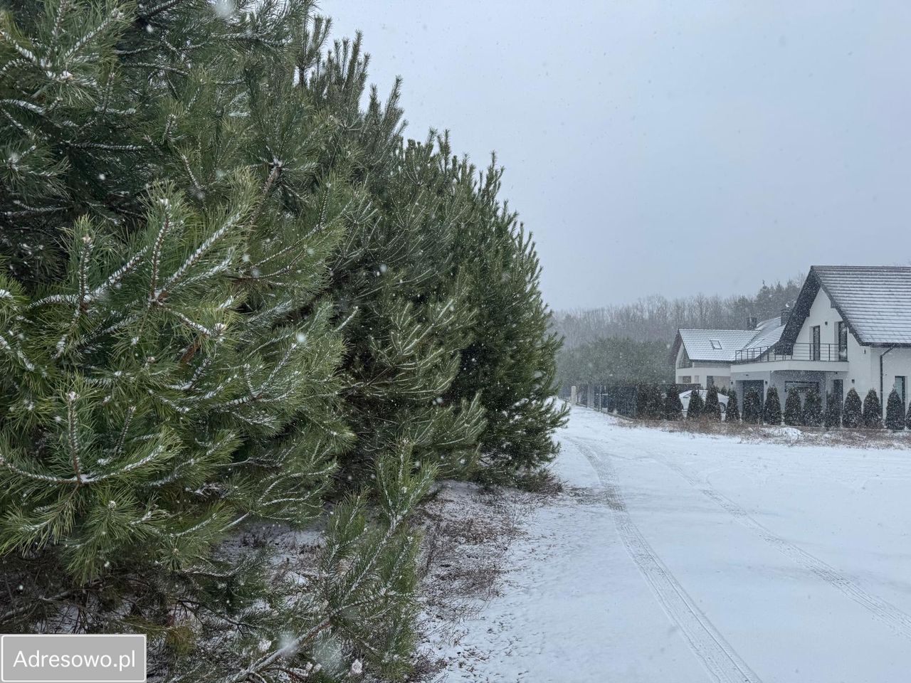 Działka budowlana Siestrzeń. Zdjęcie 15